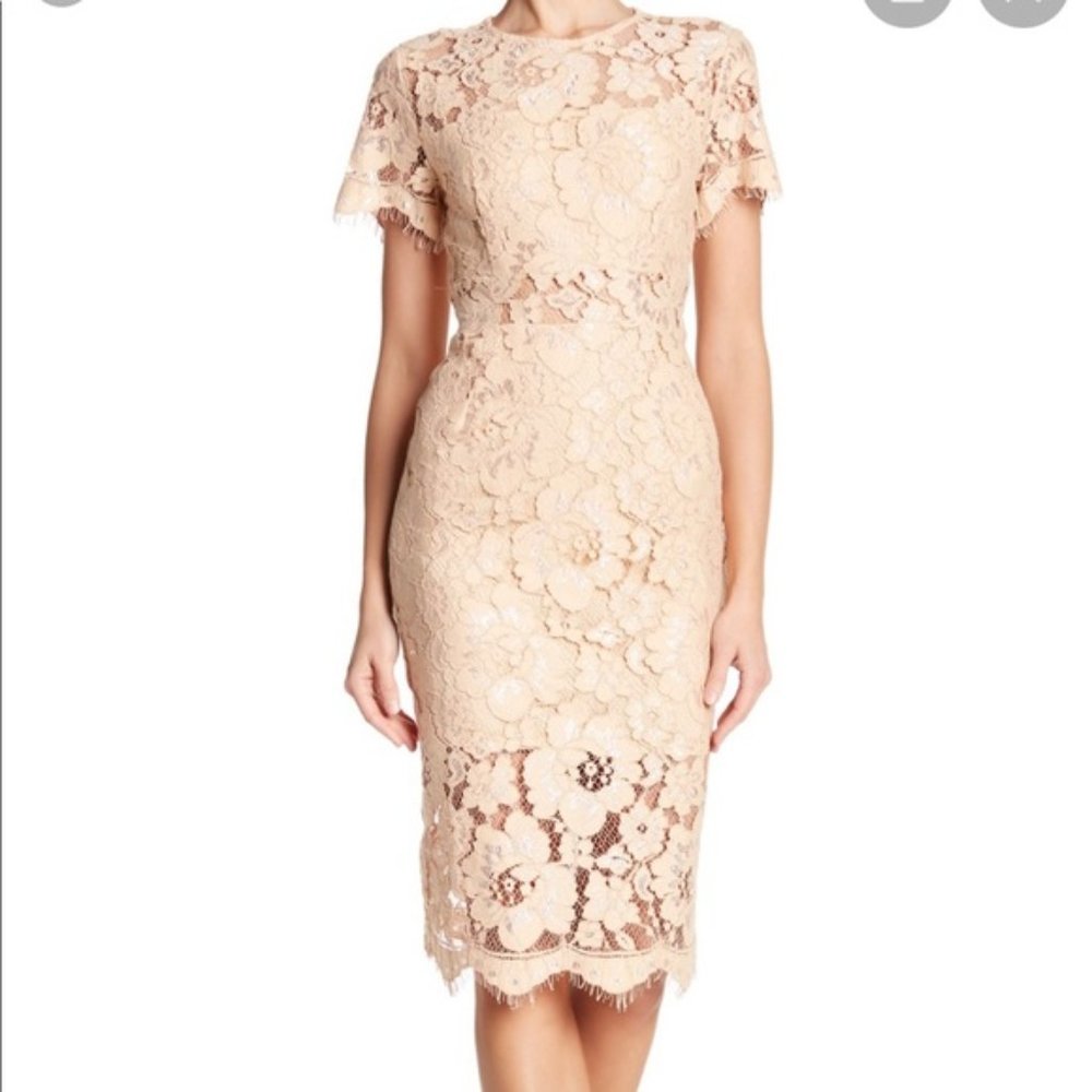 NWOT NSR Short sleeve Lace midi dress LARGE L CHAMPAGNE PEACH